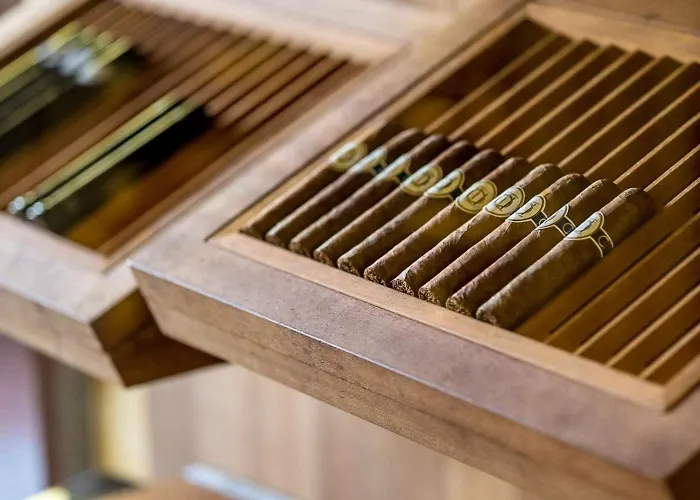 Parkhotel - Ein Mitglied Der Hommage Luxury Collection 5* Bremen